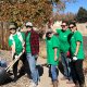 Tree NM - November 9, 2019