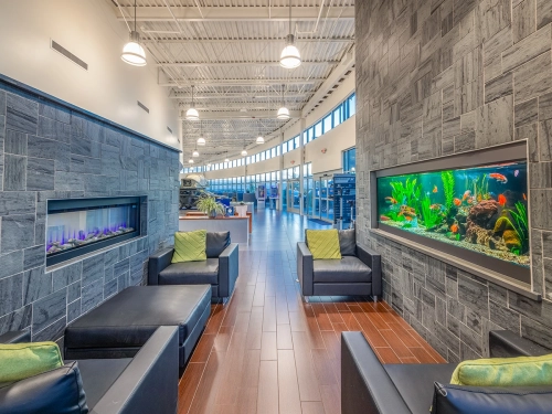 Fiesta Subaru - Customer lounge